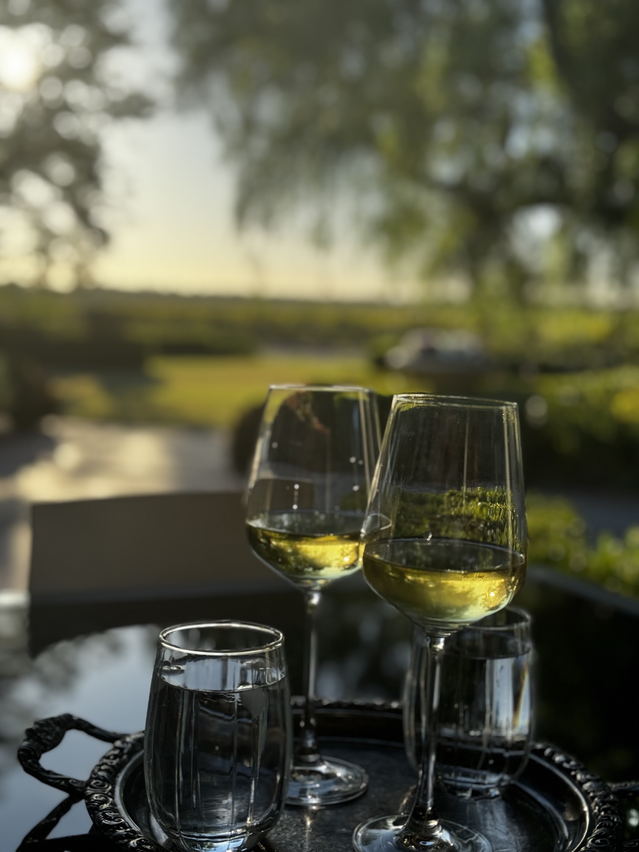 Two glasses of white wine on a silver tray in the garden at Barossa House in late afternoon light
